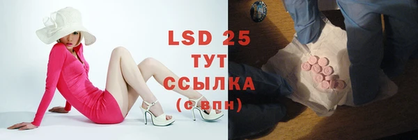 гашик Касимов