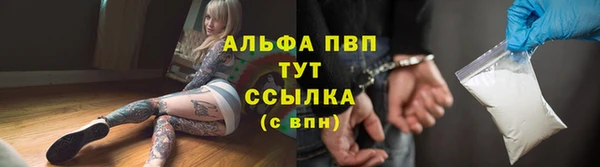 гашик Касимов