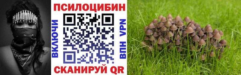 Галлюциногенные грибы мицелий  купить закладку  Прокопьевск 